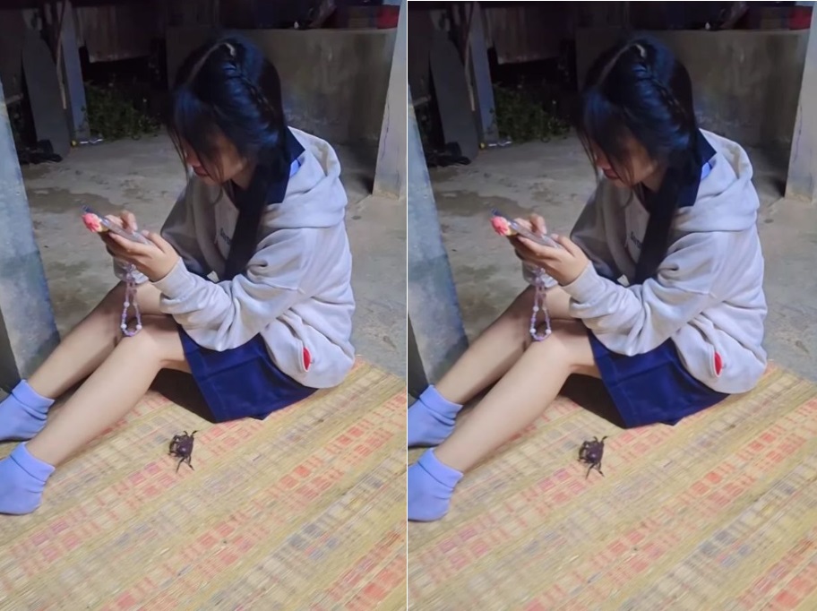 không che-Tối Sang Nhà Bạn Gái Việt Nam, Chủ Yếu Đè Nhau Ra Nện